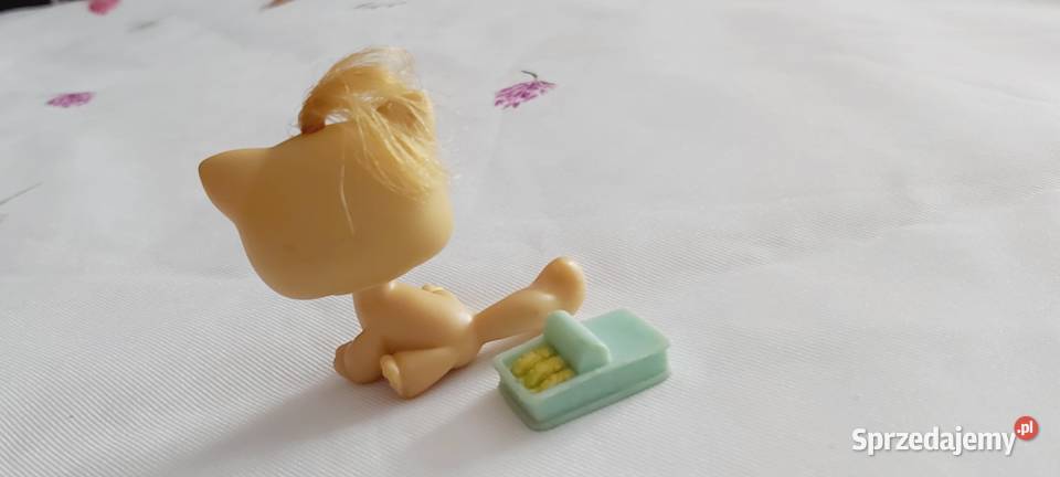 Kotek Hasbro z puszeczka rybki Braniewo sprzedam