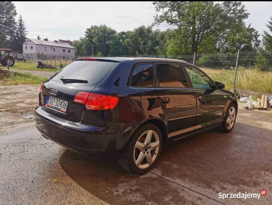 Audi A3 8P 19 TDI 105 A3 Samochody osobowe
