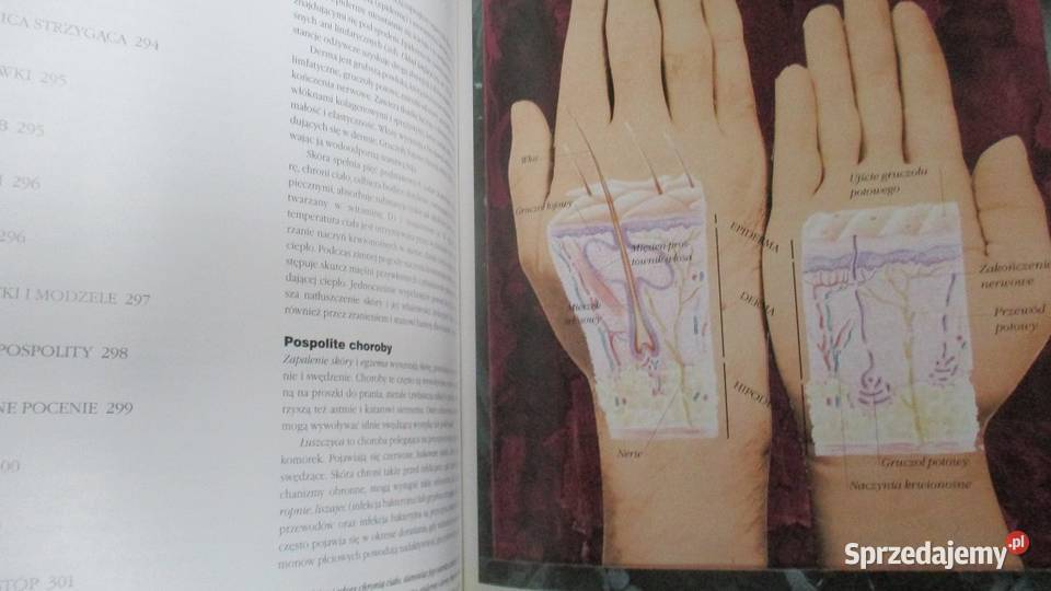 Encyklopedia medycyny naturalnej medycyna Łódź