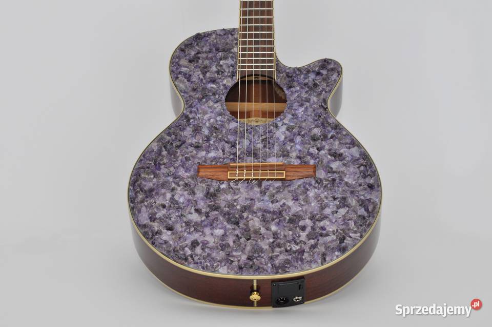 WYJĄTKOWA Gitara elektroklasyczna IBANEZ Pozostałe Szczecin sprzedam