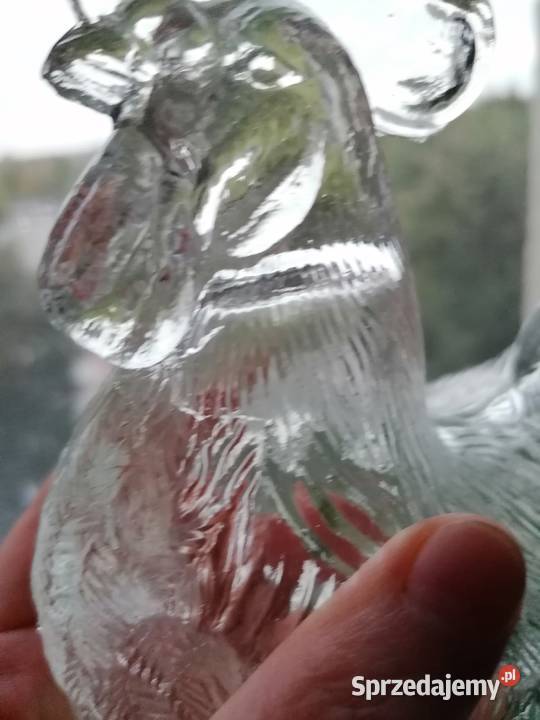 Kogut bombonierka z Ząbkowic Mielec