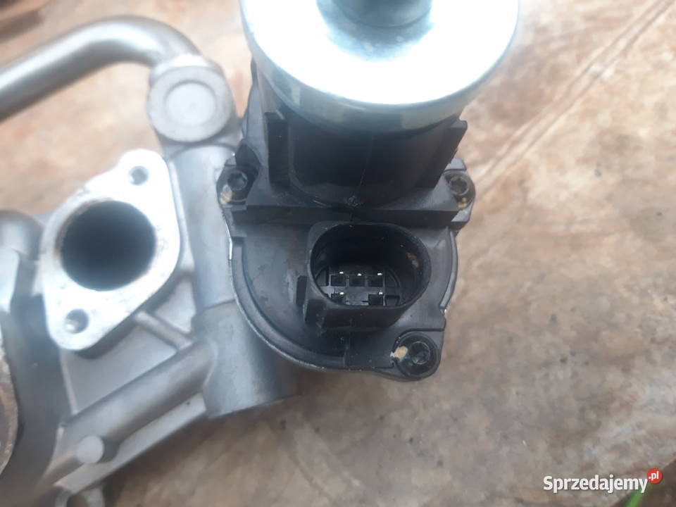 Zawór EGR chłodnica Golf Passat Silniki i osprzęt Opole