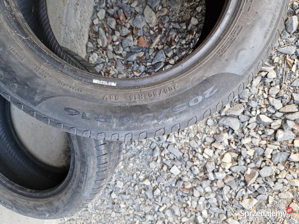 Para opon letnich 205 60 R16 pirelli sprzedam