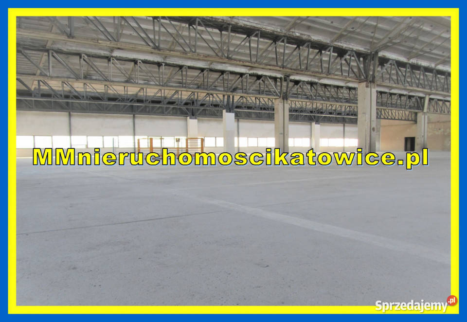 Powierzchnie magazynowe do wynajęcia do 2000 m2 700m2 Będzin