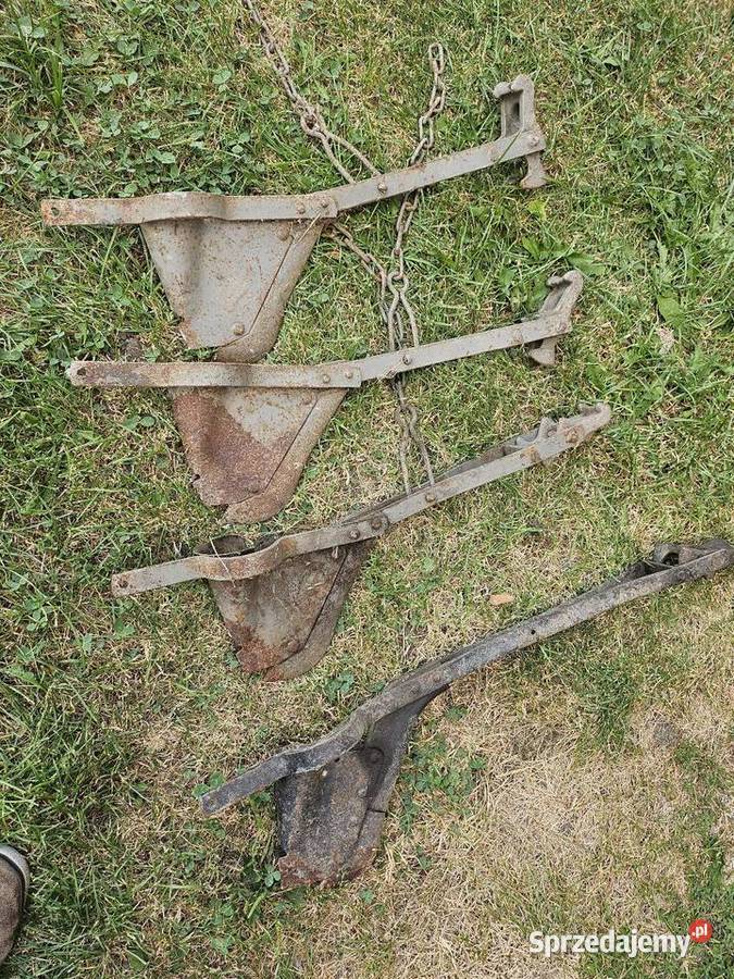 Redlice siewnik Poznaniak Domaniewice