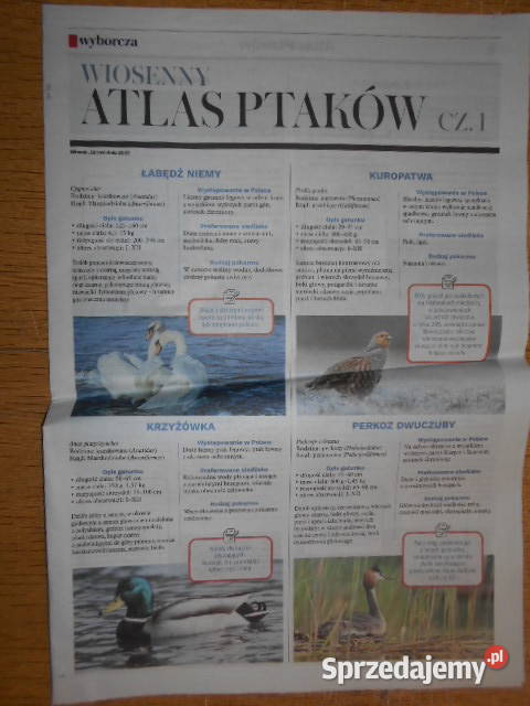 Wiosenny Atlas Ptaków cz III Gazeta Wyborcza Rok wydania 2023 lubelskie