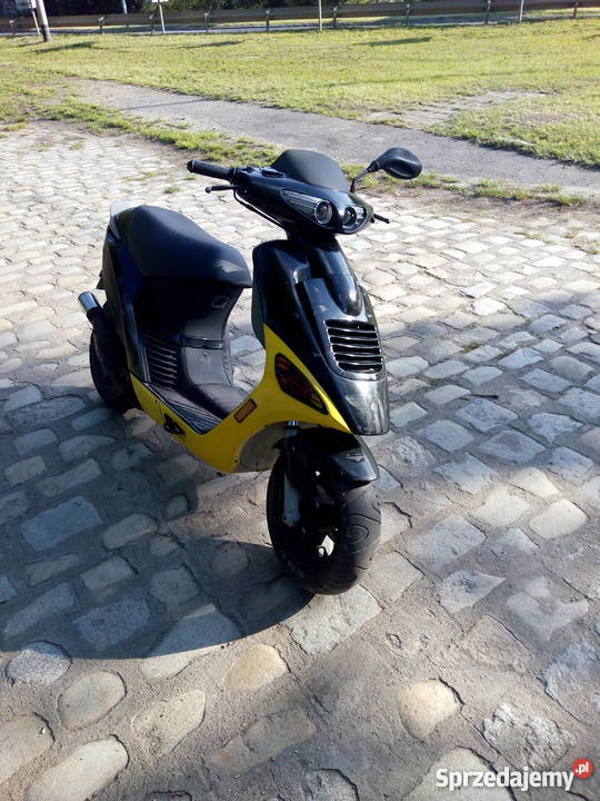 atala hacker Wrocław