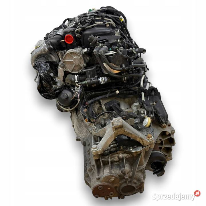 SILNIK KOMPLETNY G8DD Ford Focus II MK2 C C 16 osobowe Chełm sprzedam