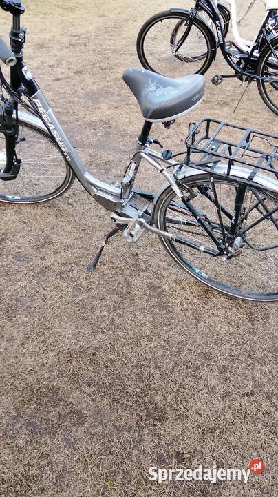 Rower elektryczny pegazus Konin