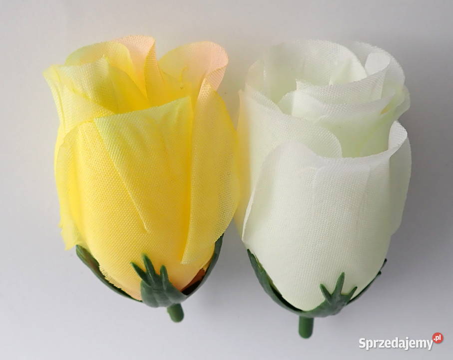 Róże w postaci pąków różne kolory średnica 45 śląskie Siewierz