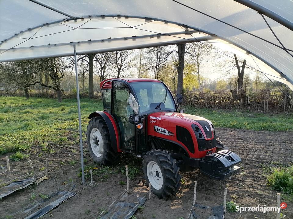 basak 2080 Silnik Perkins Skrzynia biegów Manualna świętokrzyskie Kielce
