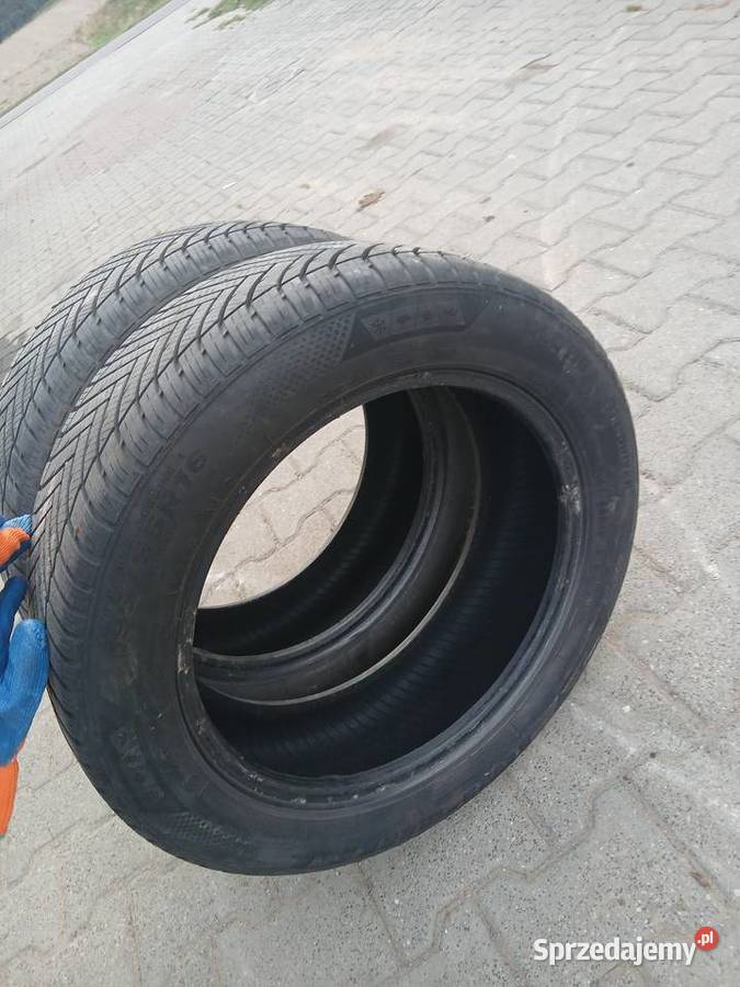 Opony wielosezonowe 1955516 Skierniewice