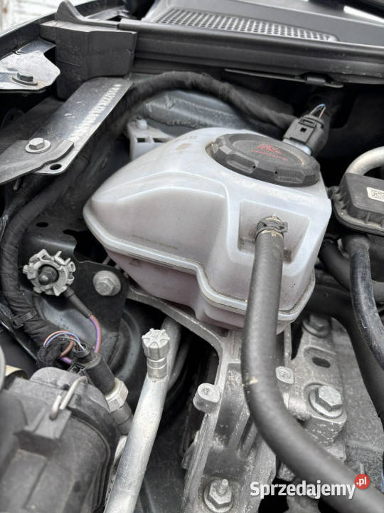 Seat Ibiza Seat Ibiza 10 TSI V 2017