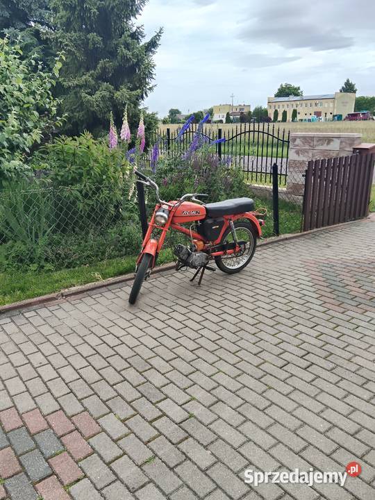 Sprzedam ogar 205 1km Biała Podlaska