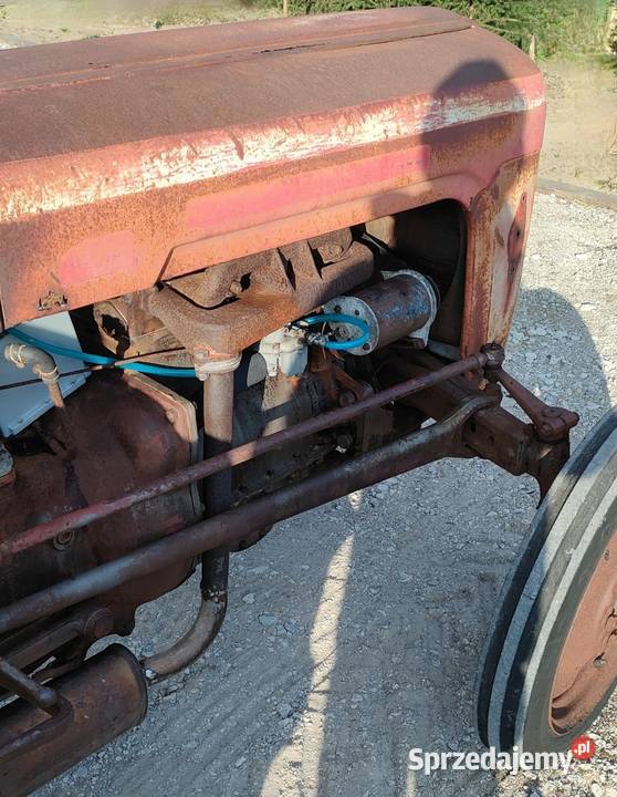 Massey Ferguson 35 Kornatowo