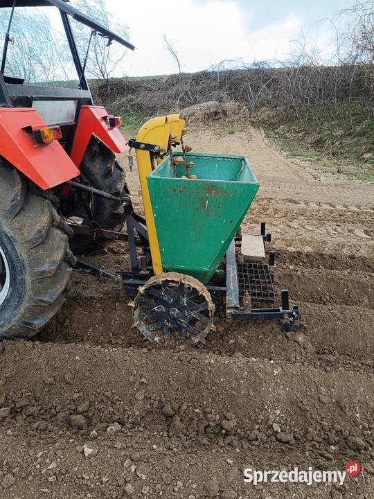 Sadzarka do ziemniaków Siewniki i sadzarki Tomaszów Lubelski