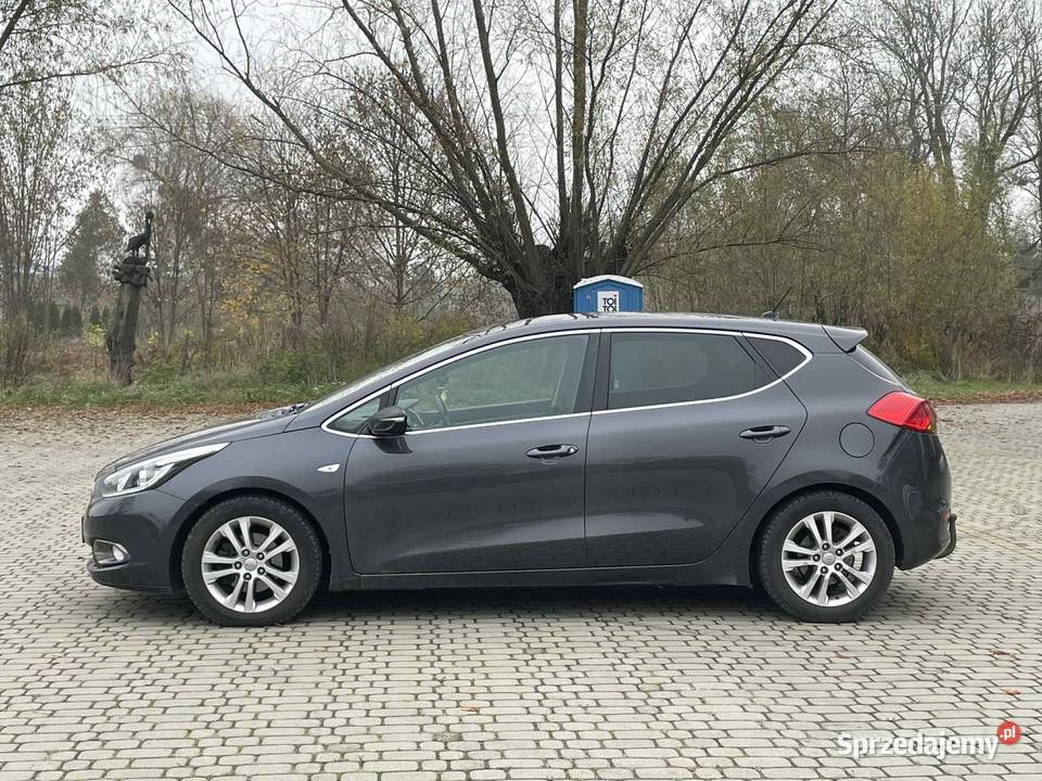 Kia Ceed 2 Olchowiec