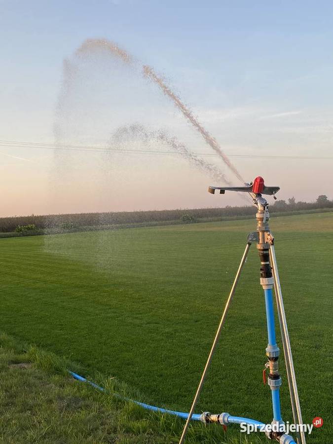 Trawa z rolki Barenbrug Lublin