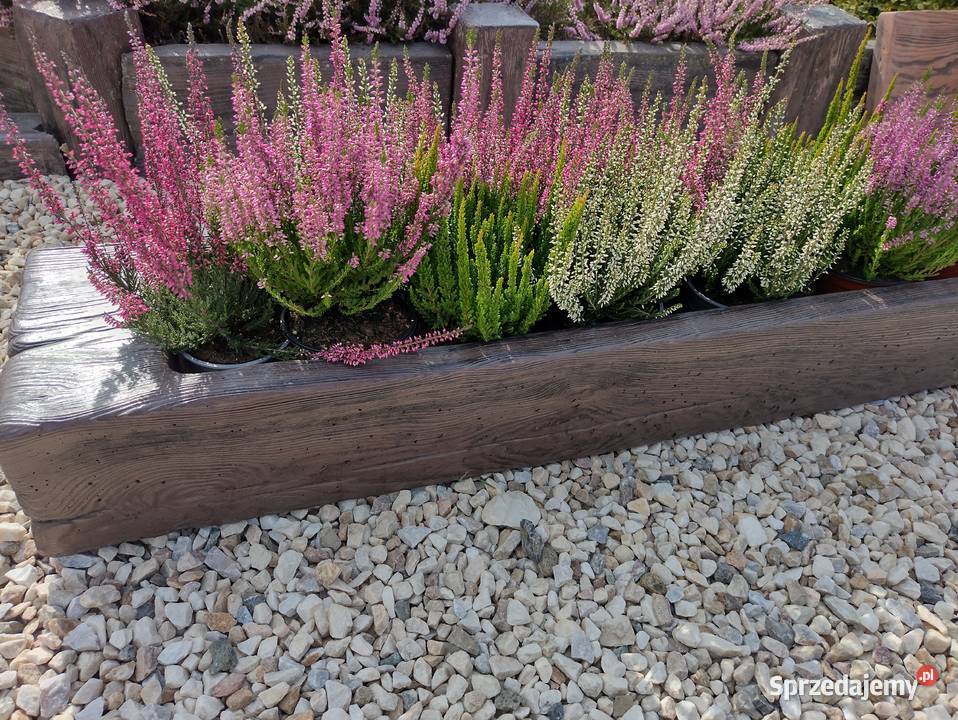 Warzywnik 4 komory SZARY Ulanów sprzedam