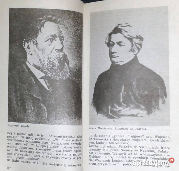 Wizje niepodległości Andrzej Zakrzewski Chełm sprzedam