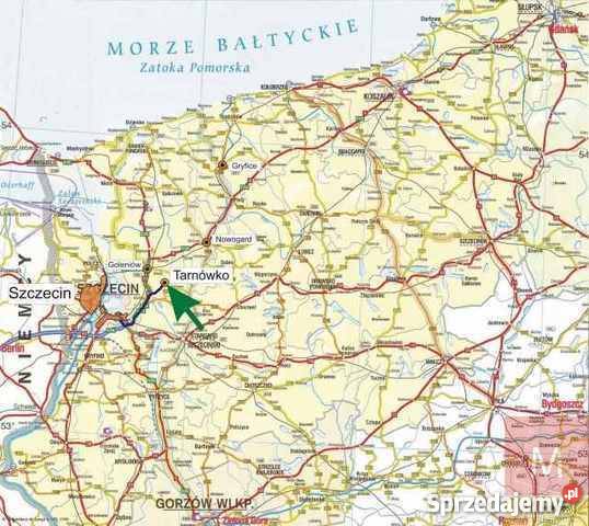 Grunt 73000m2 Tarnówko Grunty i działki Tarnówko sprzedam