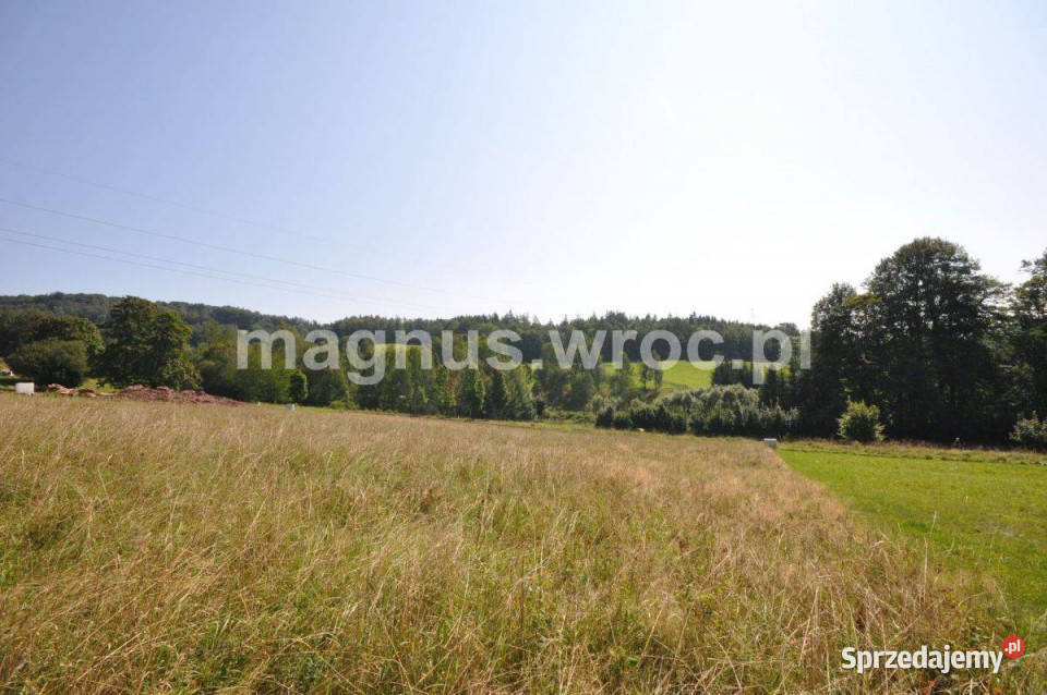 Widokowa działka budowlana na lekkim stoku Głuszyca