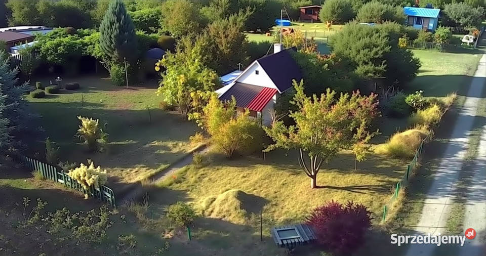 Działka w ROD Złocień ruokliwy solidny domek