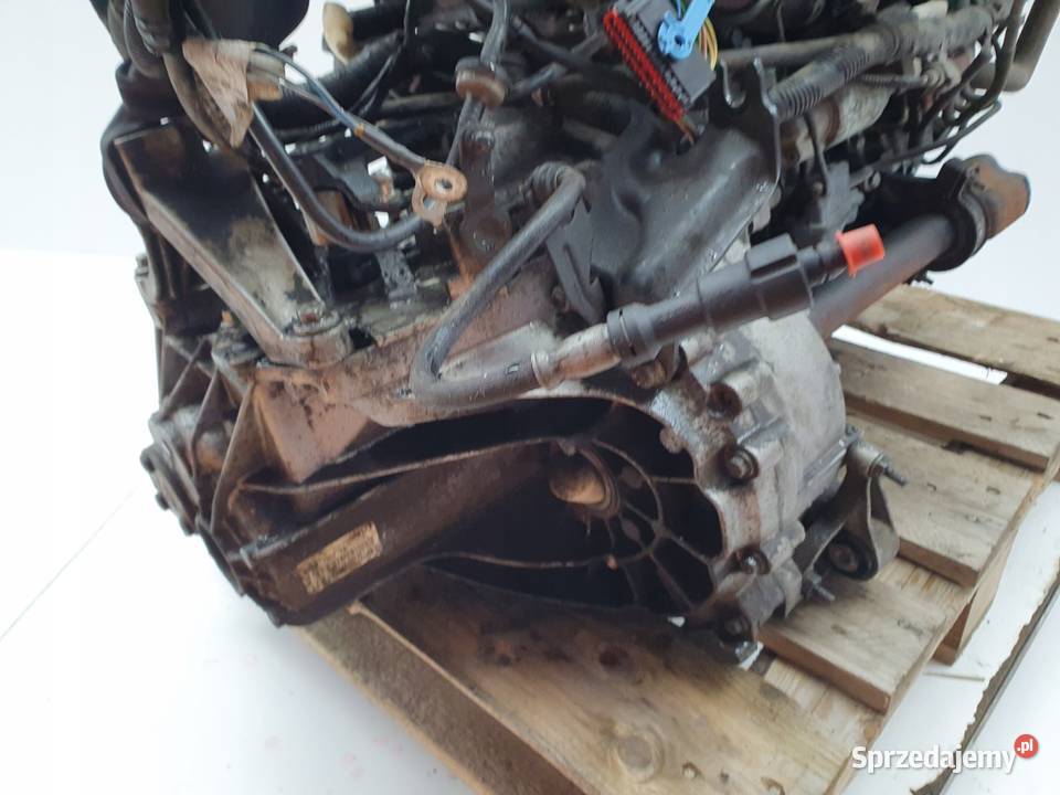 SILNIK KOMPLETNY Ford Focus II MK2 16 TDCI 109 Silniki kompletne