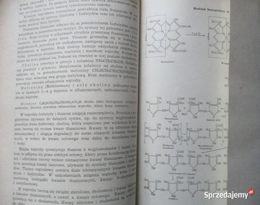 Farmakologia Supniewski 1954r łódzkie Łódź sprzedam
