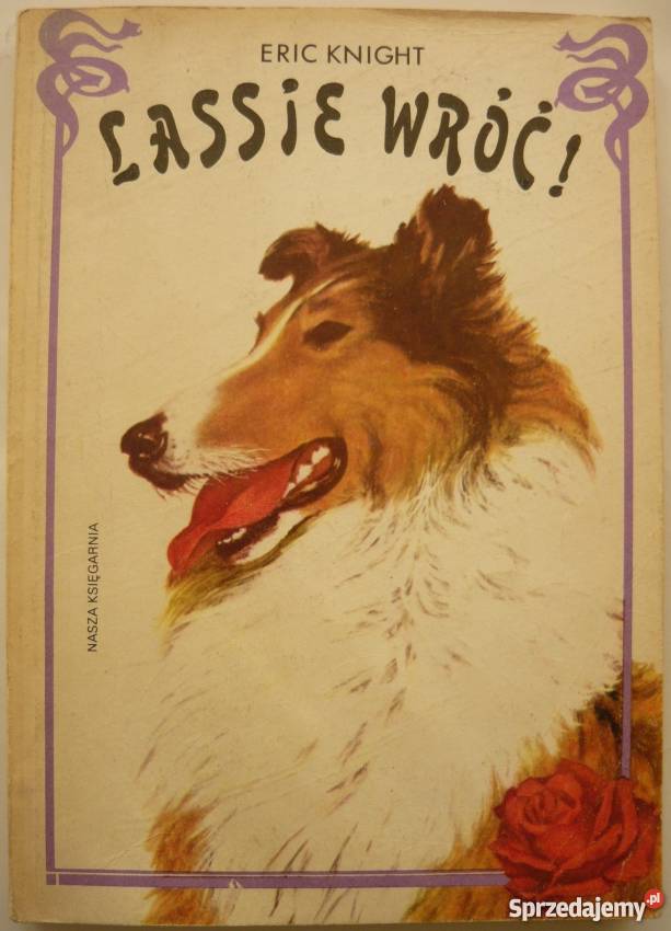 LASSIE WRÓĆ KNIGHT ERIC Zamość