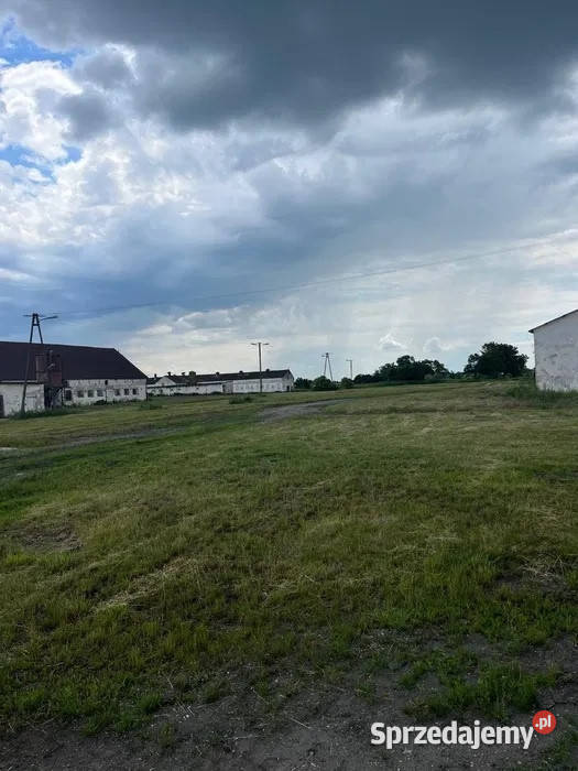 Ferma trzodadrobiu 72000m2 Sprzedaż