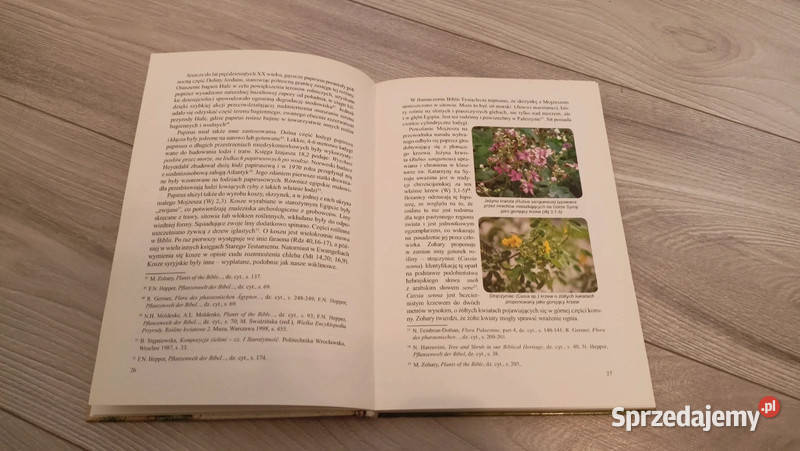 Przyroda w Biblii cedrów do hizopu podkarpackie Rzeszów