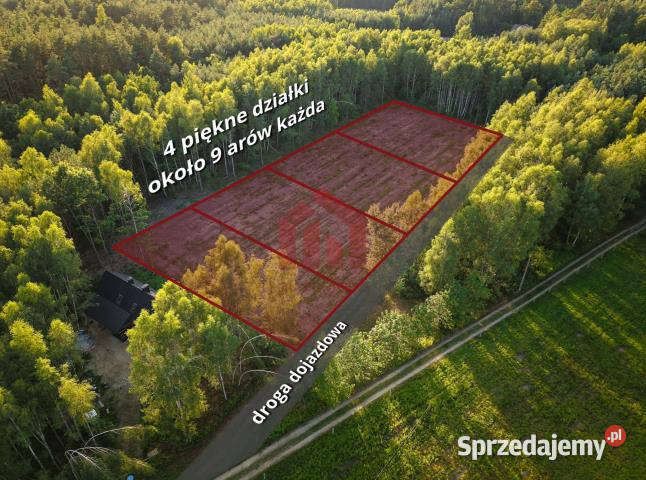 Działka 900m2 Czarna Sędziszowska sprzedam