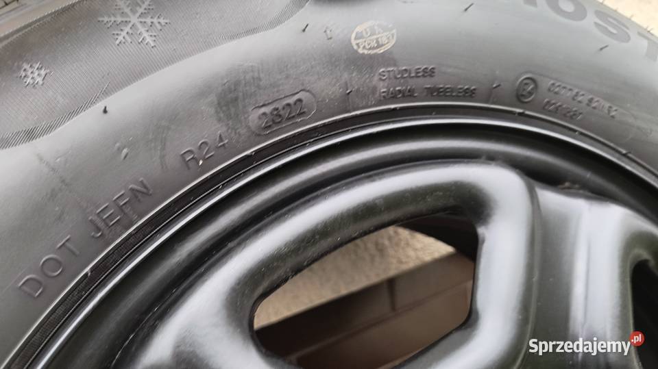 Opony zimowy Minerva Frostrack HP 2156516 Dacia Motoryzacja Skoki