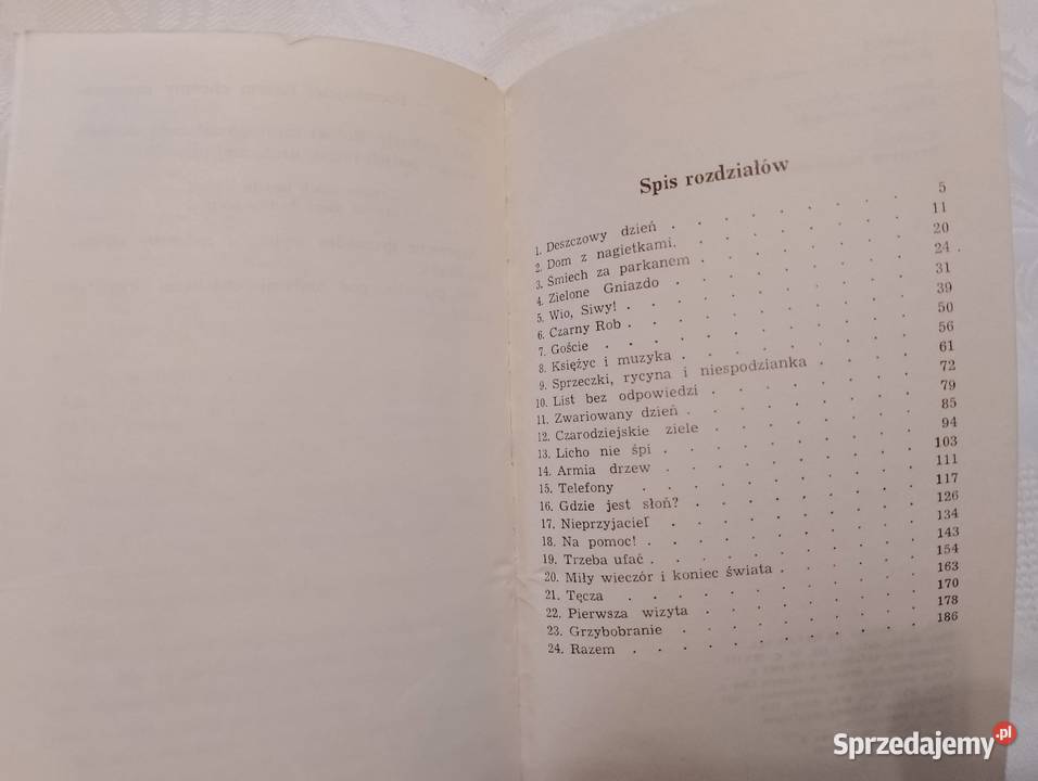 Książka WAKACJE W BORKACH Jadwiga Korczakowska sprzedam