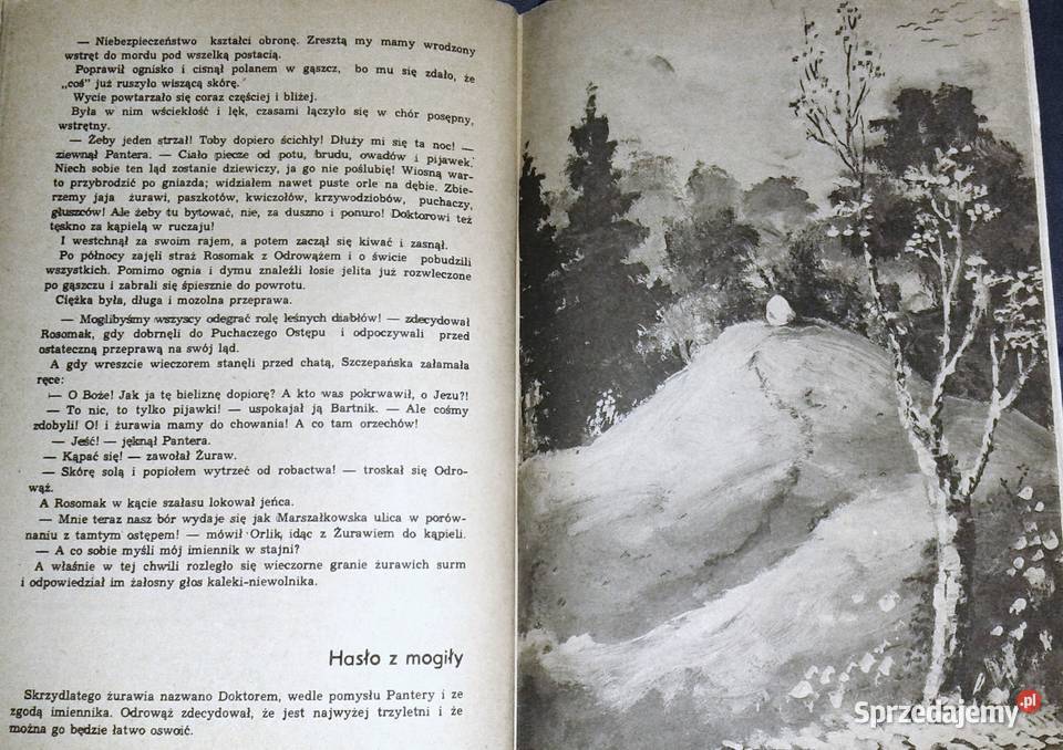 Lato leśnych ludzi Cz 12 Maria Rodziewiczówna Rok wydania 1984 Chełm