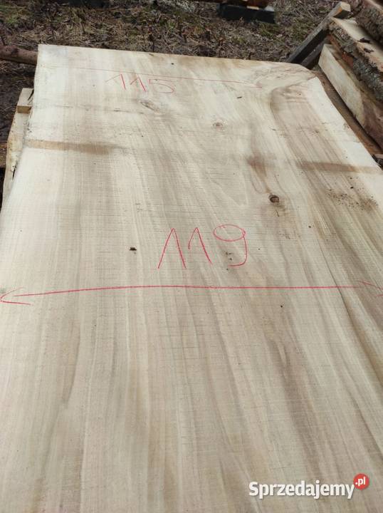 Monolit topola240x124x115x10 dąb jesion klon Przysucha sprzedam