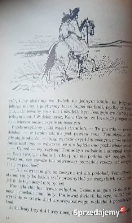 Kurt David Czarny Wilk Wyd Poznańskie 1970 r sprzedam