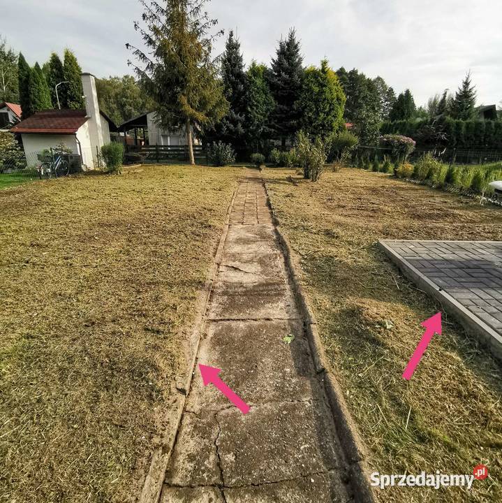Koszenie KOSĄ SPALINOWĄ działek ogrodów wysokiej Pielęgnacja ogrodów i trawników Pielęgnacja ogrodów i trawników śląskie Częstochowa