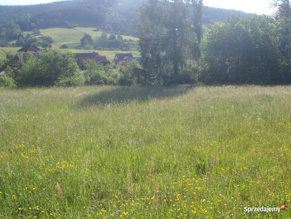 działki budowlane w górach małopolskie Jastrzębik