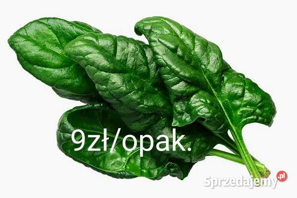 Nowalijki wiosenne rzodkiewka szpinak sałata Lwówek Śląski