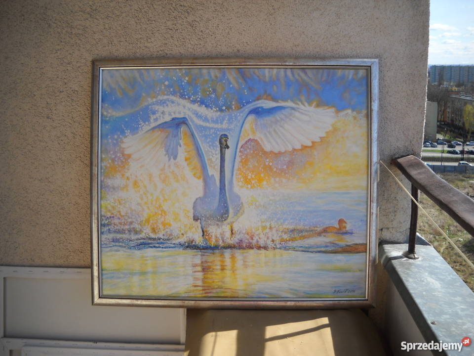 ŁABĘDŹolej 70x60 Kraków