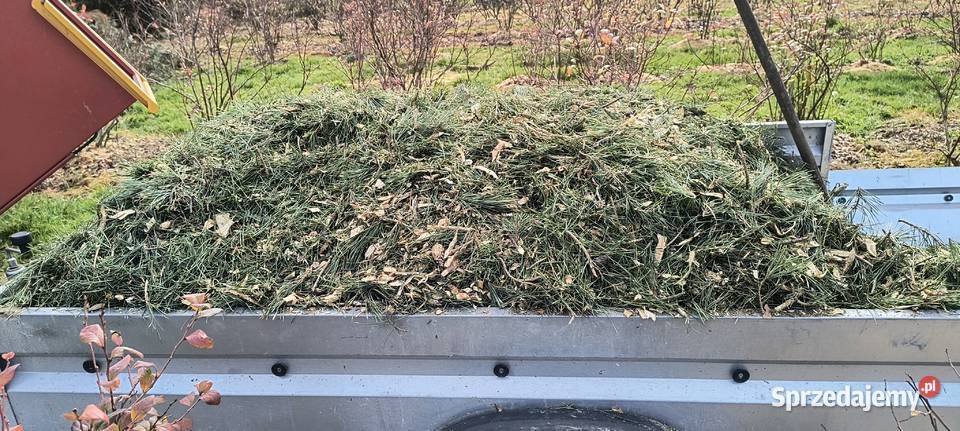 Rębak RT 630 Mników sprzedam