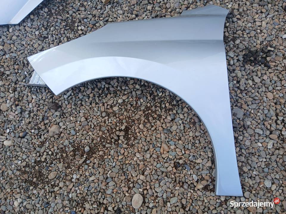 Błotnik Lewy Przedni Peugeot 207 lak ETSC EU Radłów