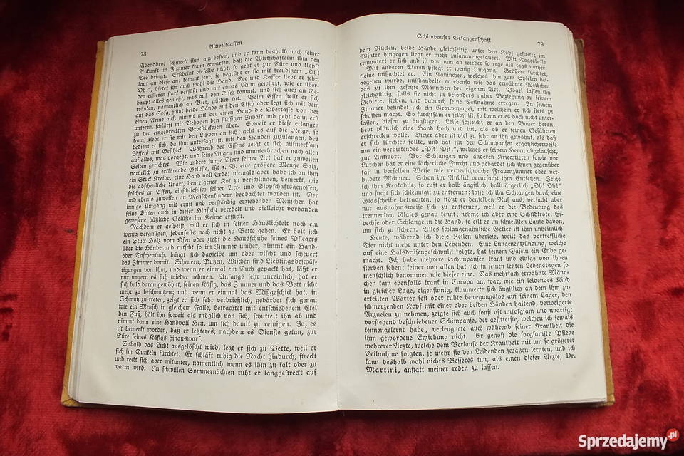 Stara niemiecka książka powieść z 1926 roku Antyki Żary