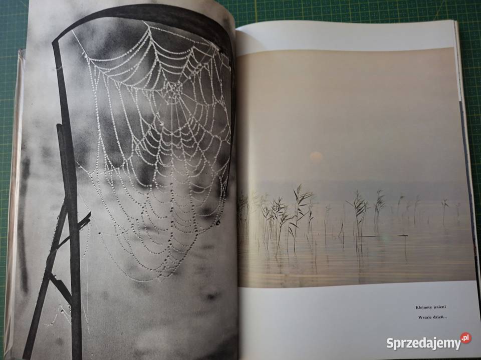 W kniei Włodzimierz Łapiński biologia, ekologia