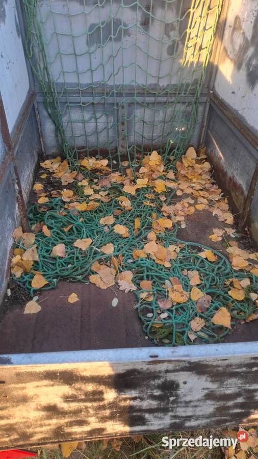 Przyczepa dmc 500 z hamulcem najazdowym Żary