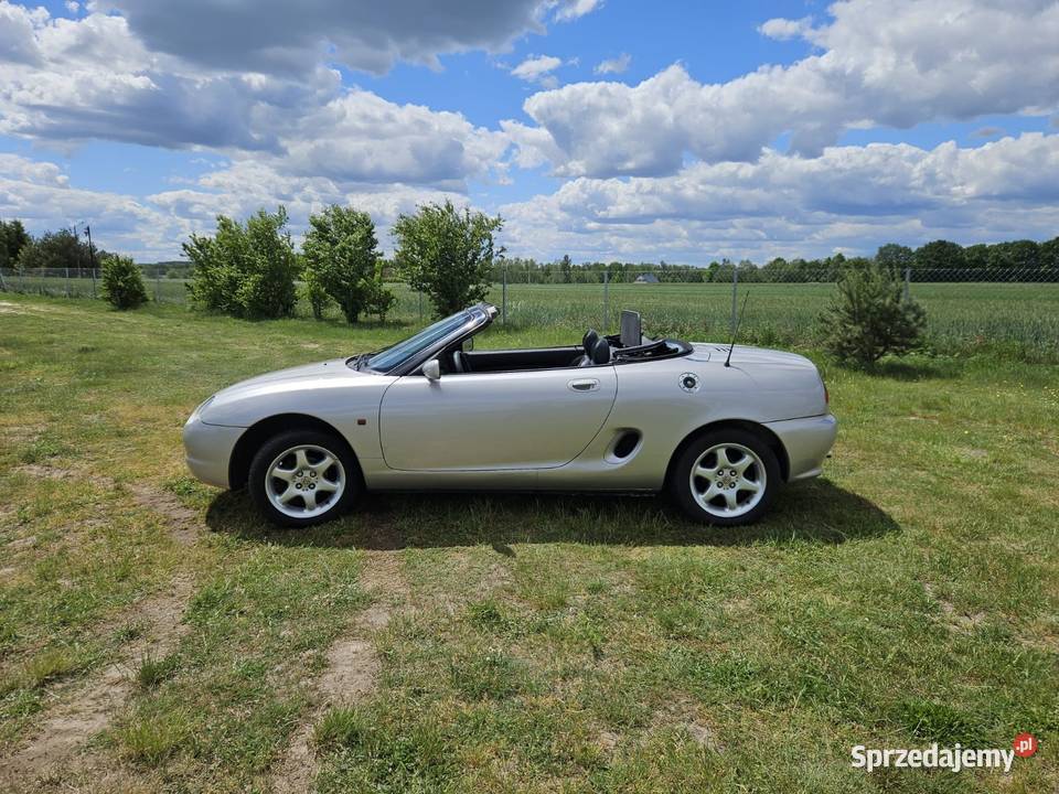 Mg mgf Lublin