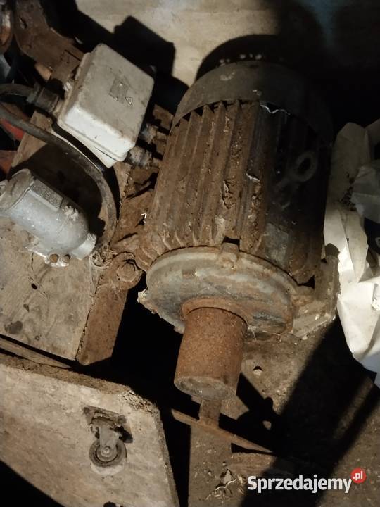 Silnik elektryczny Łódź