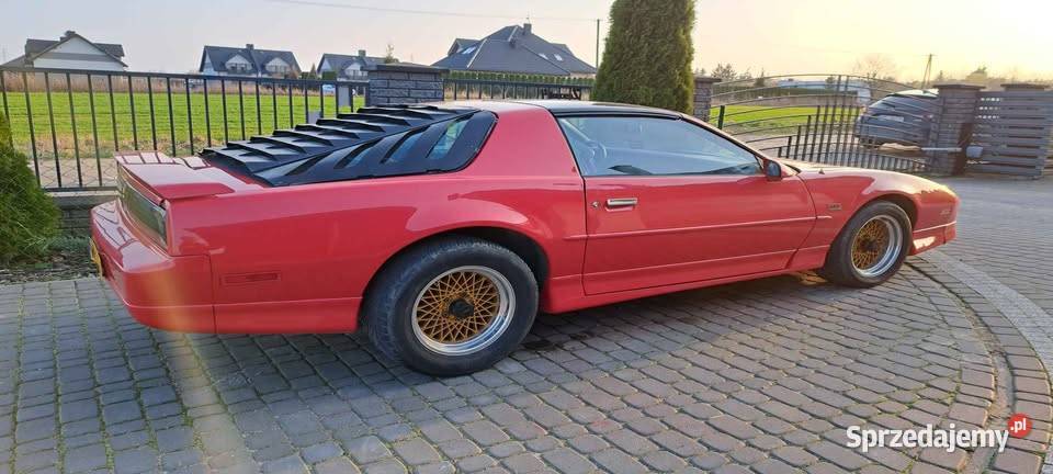 Zaluzja na tylna szybe do 3generacji Camaro i Warszawa